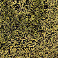 Aboriginal Artwork by Roxanne Napaljarri Collins, Yurrampi Jukurrpa (Honey Ant Dreaming), 50x40cm