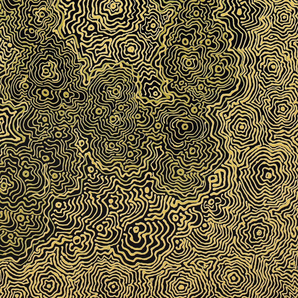 Aboriginal Artwork by Roxanne Napaljarri Collins, Yurrampi Jukurrpa (Honey Ant Dreaming), 50x40cm - ART ARK®
