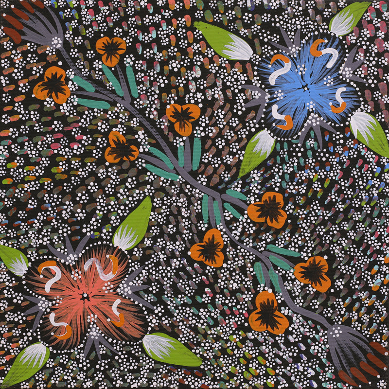 Aboriginal Artwork by Runa Napangardi Williams, Ngurlu Jukurrpa (Native Seed Dreaming), 30x30cm