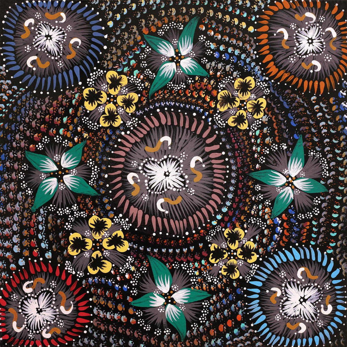 Aboriginal Art by Runa Napangardi Williams, Ngurlu Jukurrpa (Native Seed Dreaming), 40x40cm - ART ARK®