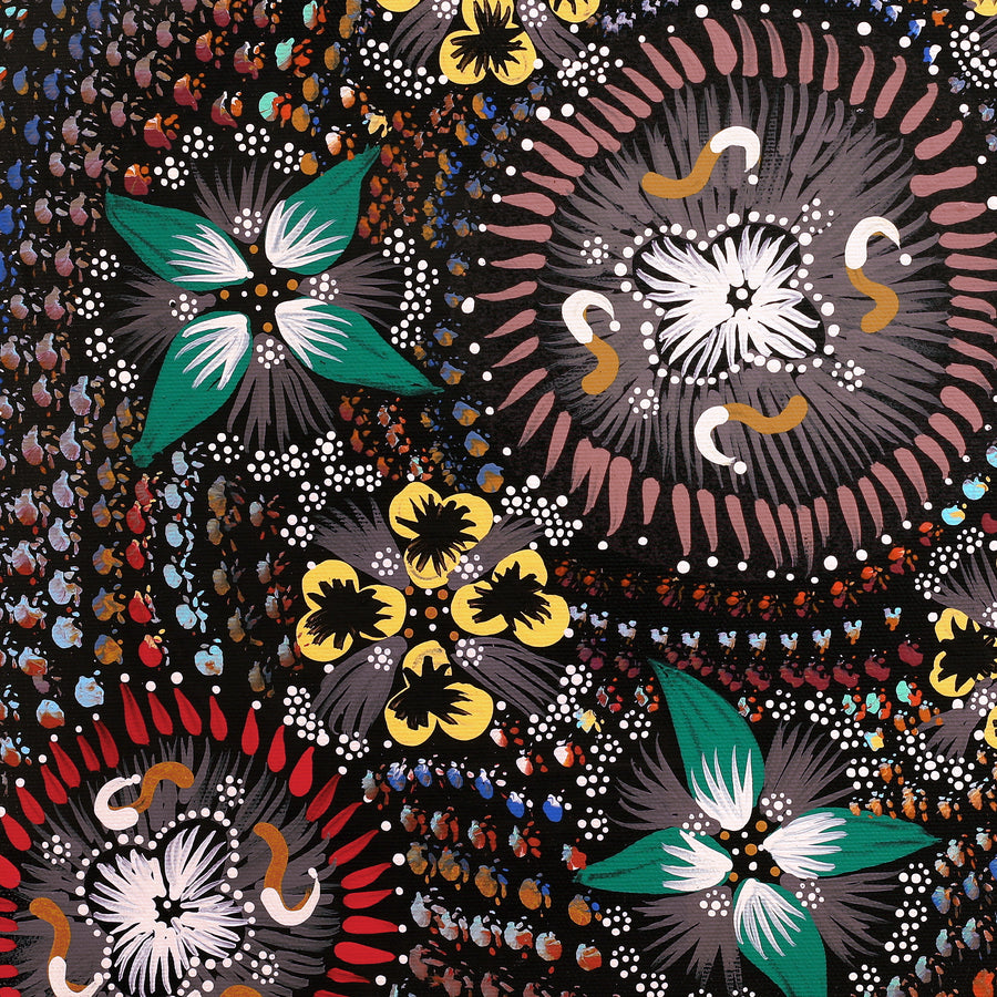Aboriginal Artwork by Runa Napangardi Williams, Ngurlu Jukurrpa (Native Seed Dreaming), 40x40cm
