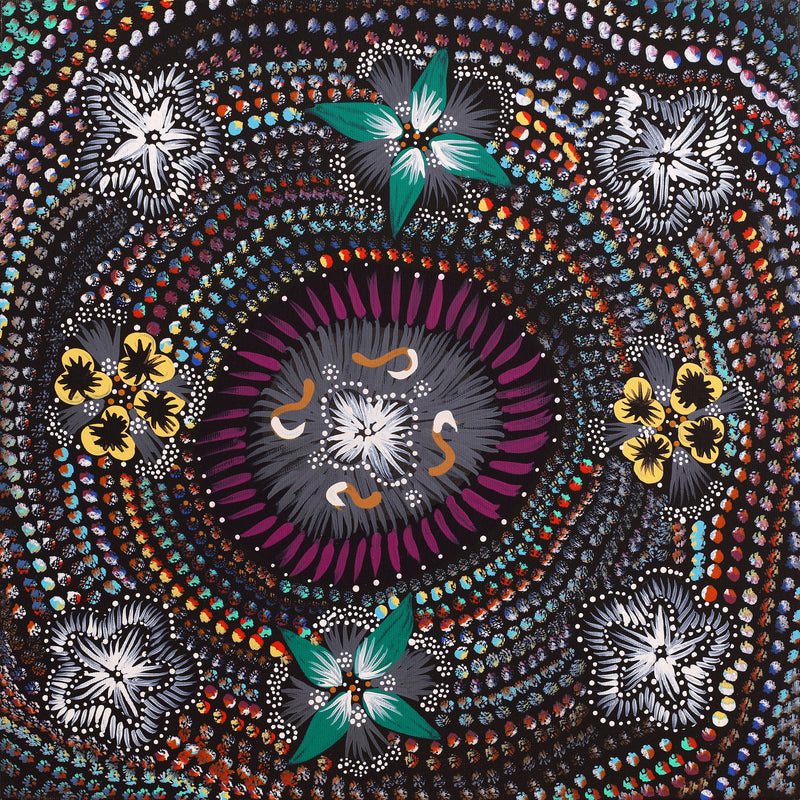 Aboriginal Artwork by Runa Napangardi Williams, Ngurlu Jukurrpa (Native Seed Dreaming), 40x40cm