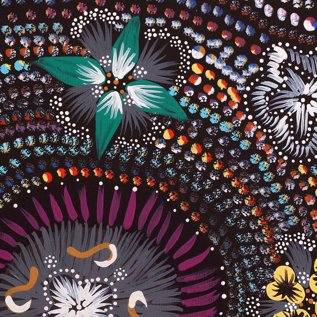 Aboriginal Artwork by Runa Napangardi Williams, Ngurlu Jukurrpa (Native Seed Dreaming), 40x40cm