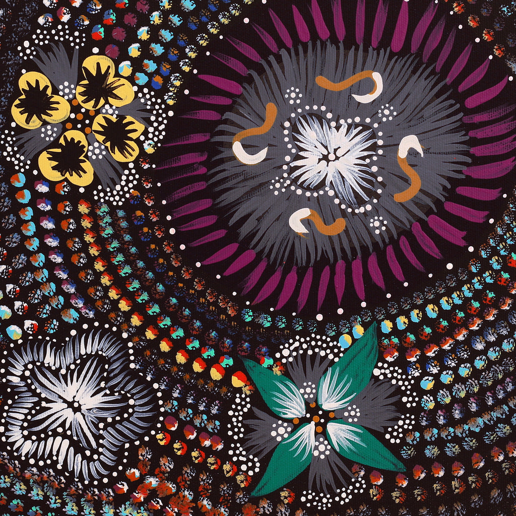 Aboriginal Artwork by Runa Napangardi Williams, Ngurlu Jukurrpa (Native Seed Dreaming), 40x40cm