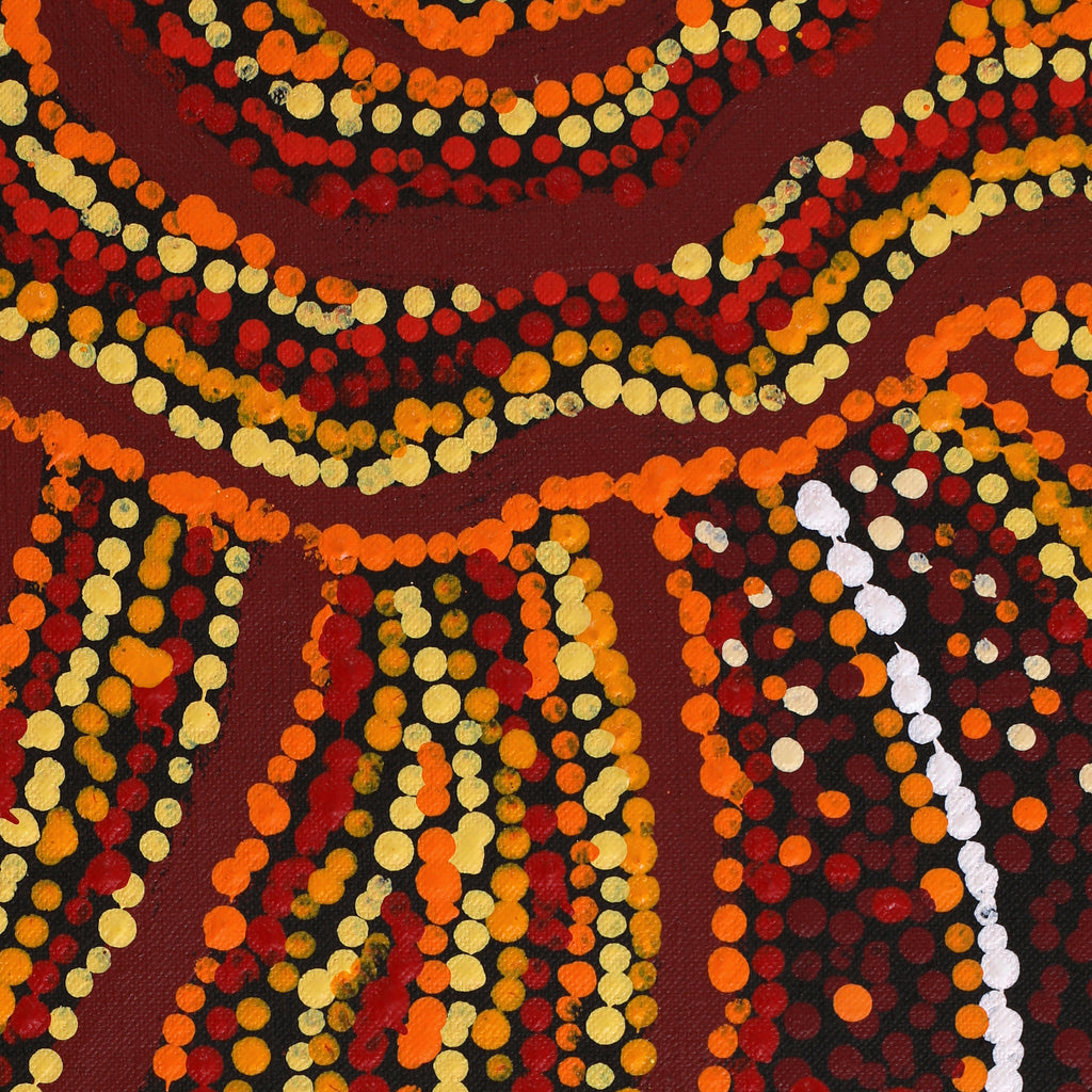 Aboriginal Art by Ruth Nungarrayi Spencer, Wardapi Jukurrpa (Goanna Dreaming) - Yarripilangu, 203x152cm - ART ARK®