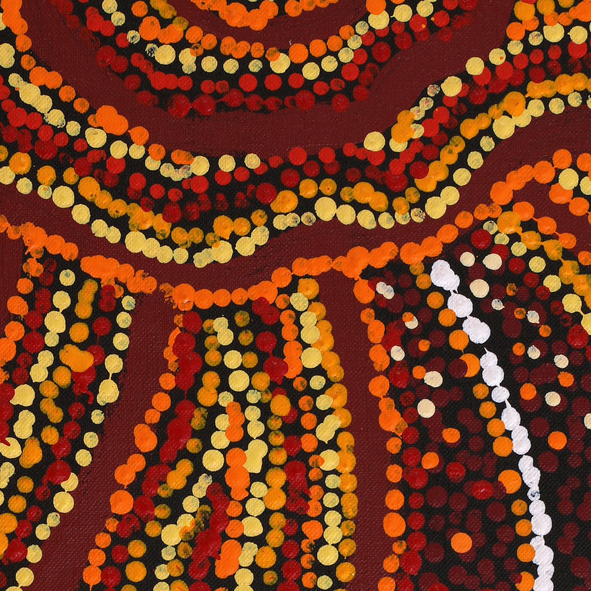 Aboriginal Art by Ruth Nungarrayi Spencer, Wardapi Jukurrpa (Goanna Dreaming) - Yarripilangu, 203x152cm - ART ARK®