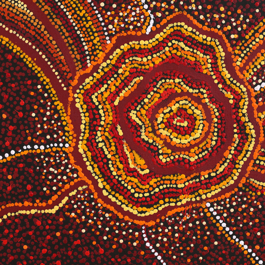 Aboriginal Artwork by Ruth Nungarrayi Spencer, Wardapi Jukurrpa (Goanna Dreaming) - Yarripilangu, 203x152cm