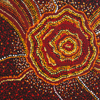 Aboriginal Art by Ruth Nungarrayi Spencer, Wardapi Jukurrpa (Goanna Dreaming) - Yarripilangu, 203x152cm - ART ARK®