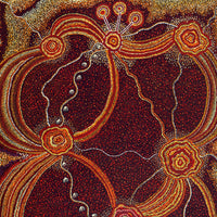 Aboriginal Art by Ruth Nungarrayi Spencer, Wardapi Jukurrpa (Goanna Dreaming) - Yarripilangu, 203x152cm - ART ARK®