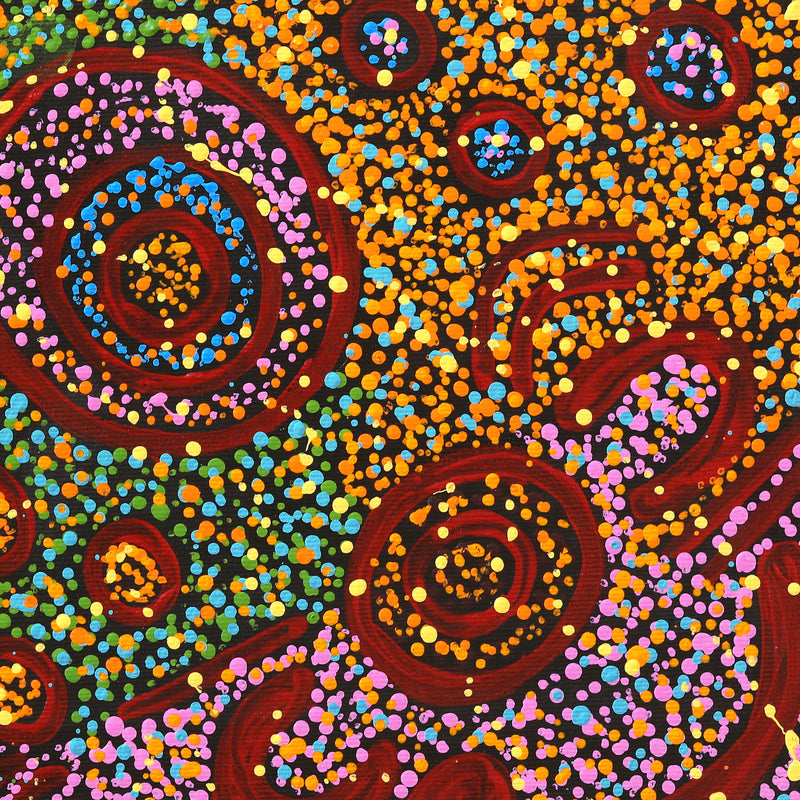Aboriginal Artwork by Ruth Nungarrayi Spencer, Wardapi Jukurrpa (Goanna Dreaming) - Yarripurlangu, 30x30cm