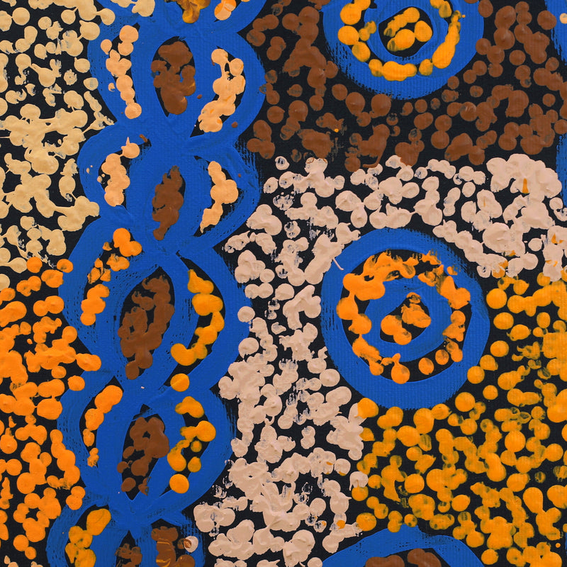 Aboriginal Artwork by Ruth Nungarrayi Spencer, Wardapi Jukurrpa (Goanna Dreaming) - Yarripurlangu, 30x30cm