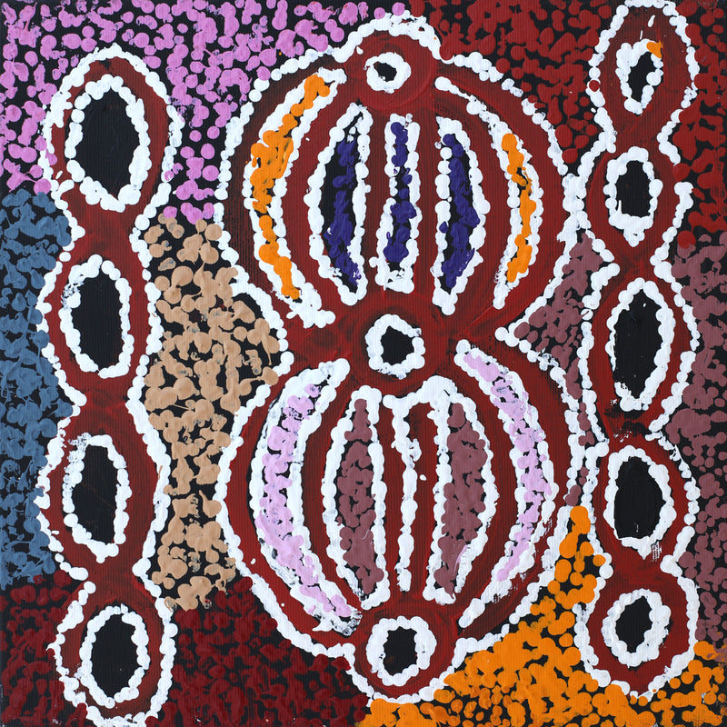 Aboriginal Artwork by Ruth Nungarrayi Spencer, Wardapi Jukurrpa (Goanna Dreaming) - Yarripurlangu, 30x30cm