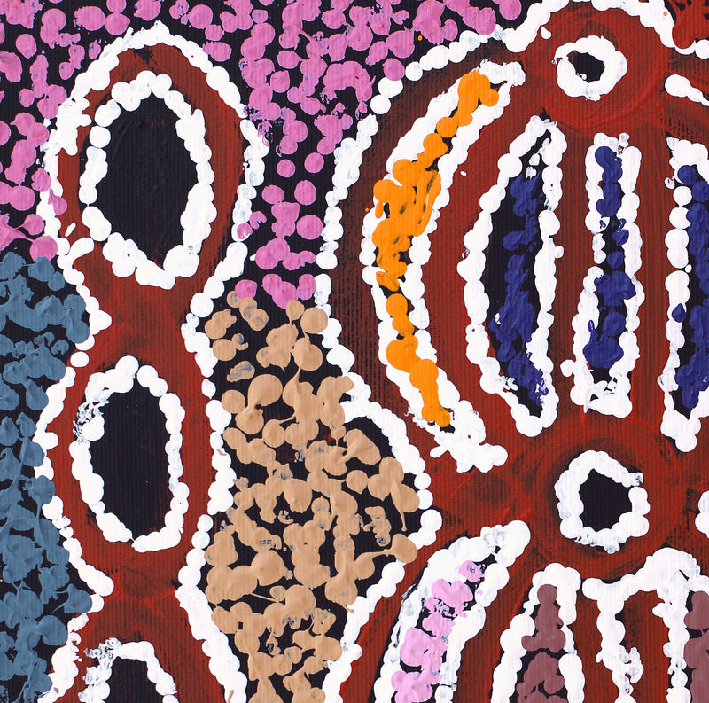 Aboriginal Artwork by Ruth Nungarrayi Spencer, Wardapi Jukurrpa (Goanna Dreaming) - Yarripurlangu, 30x30cm