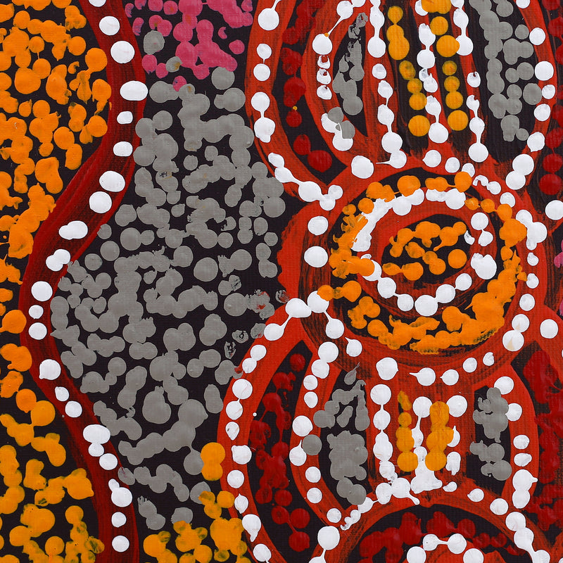 Aboriginal Artwork by Ruth Nungarrayi Spencer, Wardapi Jukurrpa (Goanna Dreaming) - Yarripurlangu, 30x30cm