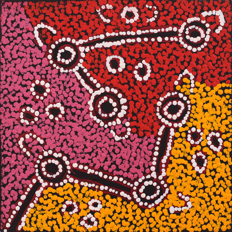 Aboriginal Artwork by Ruth Nungarrayi Spencer, Wardapi Jukurrpa (Goanna Dreaming) - Yarripurlangu, 30x30cm
