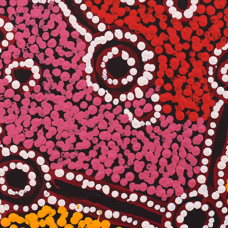 Aboriginal Artwork by Ruth Nungarrayi Spencer, Wardapi Jukurrpa (Goanna Dreaming) - Yarripurlangu, 30x30cm
