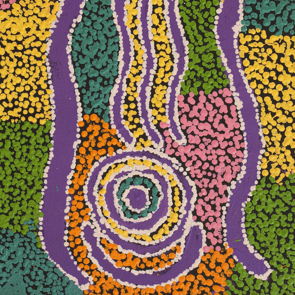 Aboriginal Artwork by Ruth Nungarrayi Spencer, Wardapi Jukurrpa (Goanna Dreaming) - Yarripilangu, 61x30cm