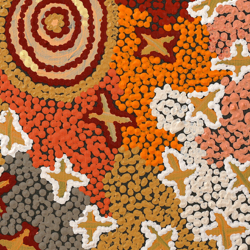 Aboriginal Artwork by Ruth Napaljarri Stewart, Ngatijirri Jukurrpa (Budgerigar Dreaming), 30x30cm