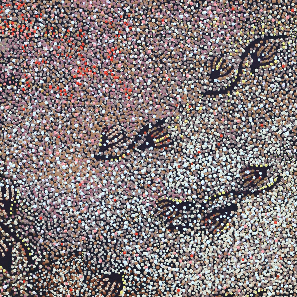 Aboriginal Artwork by Ruth Nungarrayi Spencer, Wardapi Jukurrpa (Goanna Dreaming) - Yarripurlangu, 107x76cm