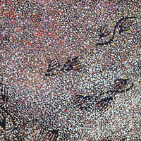 Aboriginal Artwork by Ruth Nungarrayi Spencer, Wardapi Jukurrpa (Goanna Dreaming) - Yarripurlangu, 107x76cm
