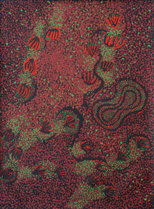 Aboriginal Art by Ruth Nungarrayi Spencer, Wardapi Jukurrpa (Goanna Dreaming) - Yarripurlangu, 61x46cm - ART ARK®
