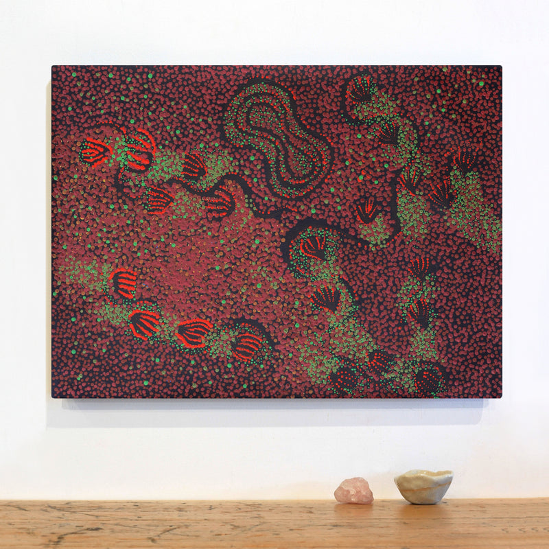 Aboriginal Artwork by Ruth Nungarrayi Spencer, Wardapi Jukurrpa (Goanna Dreaming) - Yarripurlangu, 61x46cm
