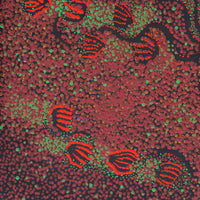 Aboriginal Artwork by Ruth Nungarrayi Spencer, Wardapi Jukurrpa (Goanna Dreaming) - Yarripurlangu, 61x46cm