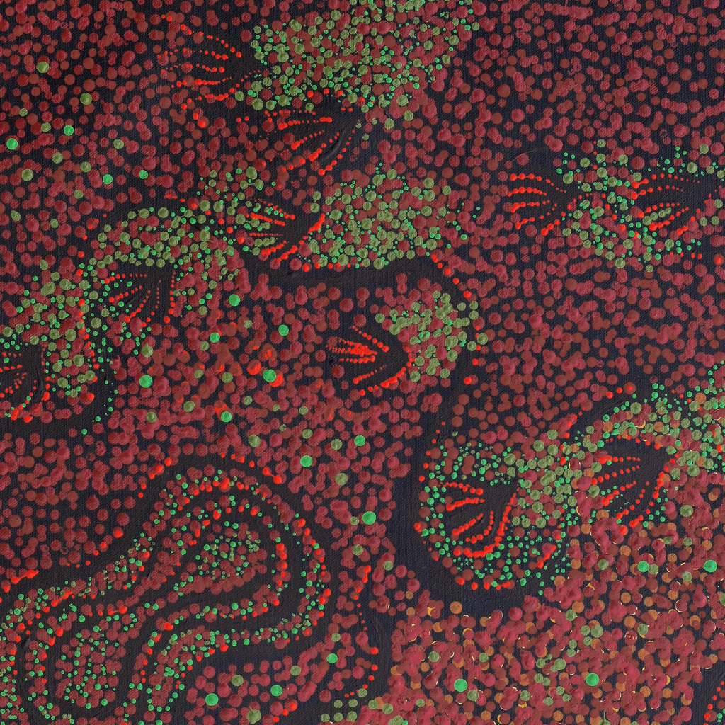 Aboriginal Artwork by Ruth Nungarrayi Spencer, Wardapi Jukurrpa (Goanna Dreaming) - Yarripurlangu, 61x46cm