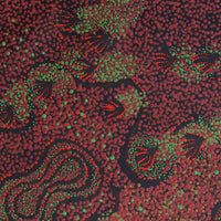 Aboriginal Artwork by Ruth Nungarrayi Spencer, Wardapi Jukurrpa (Goanna Dreaming) - Yarripurlangu, 61x46cm