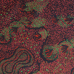 Aboriginal Art by Ruth Nungarrayi Spencer, Wardapi Jukurrpa (Goanna Dreaming) - Yarripurlangu, 61x46cm - ART ARK®