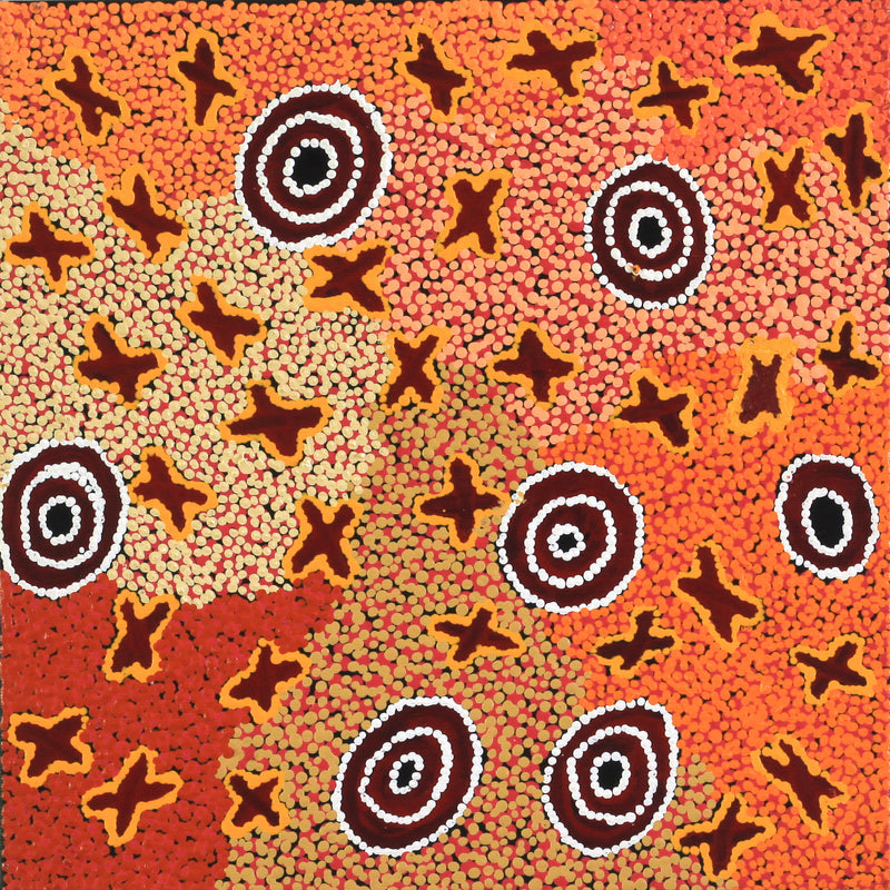 Aboriginal Artwork by Ruth Napaljarri Stewart, Ngatijirri Jukurrpa (Budgerigar Dreaming), 30x30cm