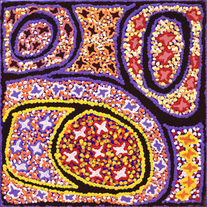 Aboriginal Artwork by Ruth Napaljarri Stewart, Ngatijirri Jukurrpa (Budgerigar Dreaming), 30x30cm - ART ARK®