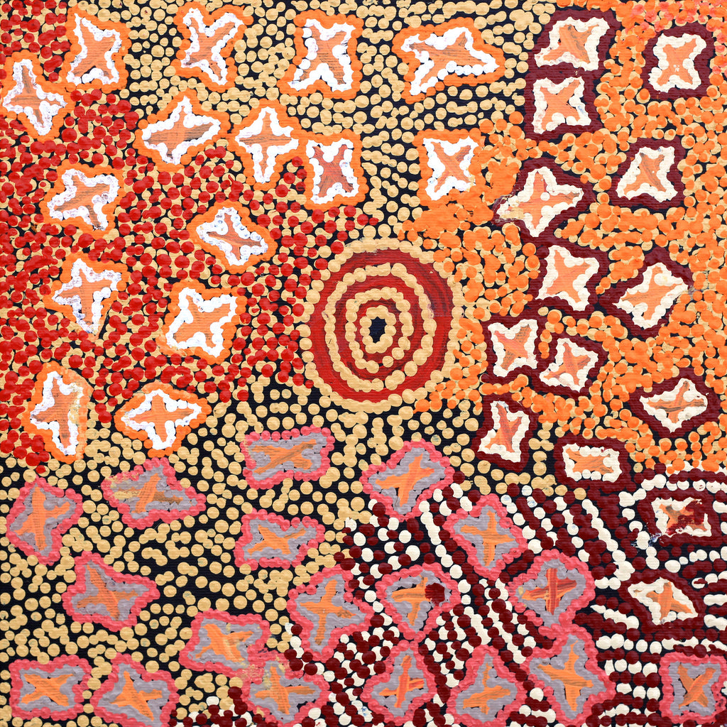 Aboriginal Artwork by Ruth Napaljarri Stewart, Ngatijirri Jukurrpa (Budgerigar Dreaming), 30x30cm - ART ARK®