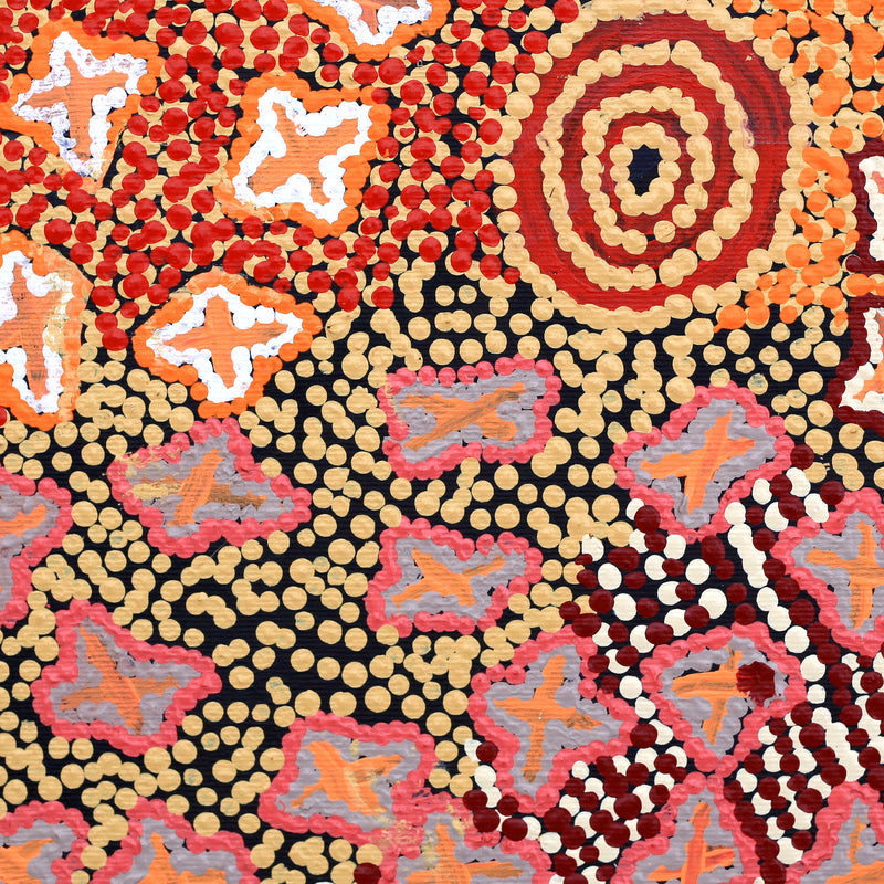 Aboriginal Artwork by Ruth Napaljarri Stewart, Ngatijirri Jukurrpa (Budgerigar Dreaming), 30x30cm