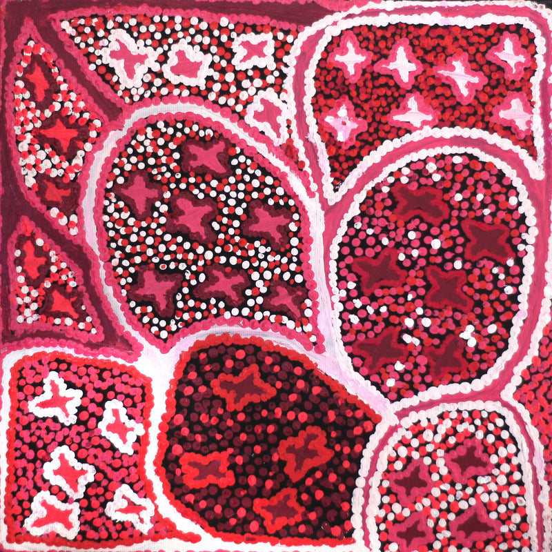 Aboriginal Artwork by Ruth Napaljarri Stewart, Ngatijirri Jukurrpa (Budgerigar Dreaming), 30x30cm