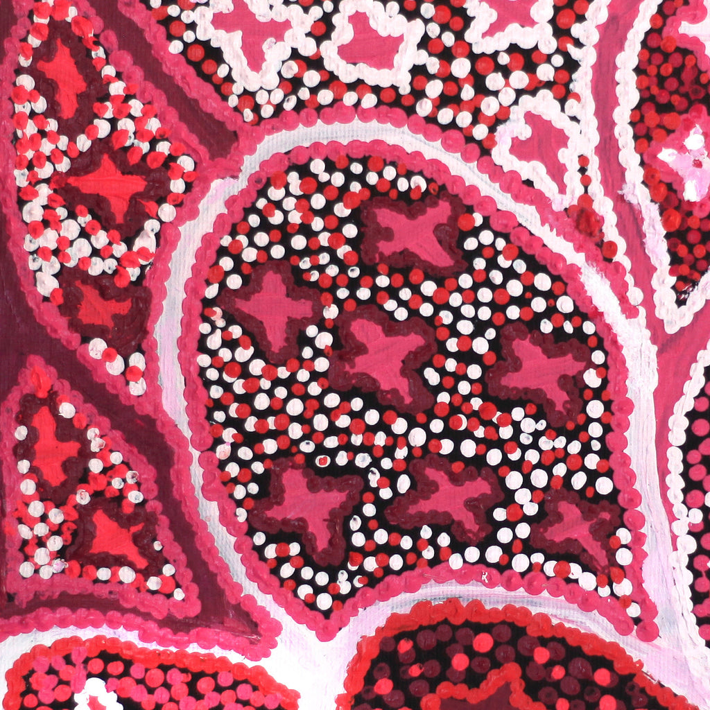Aboriginal Artwork by Ruth Napaljarri Stewart, Ngatijirri Jukurrpa (Budgerigar Dreaming), 30x30cm