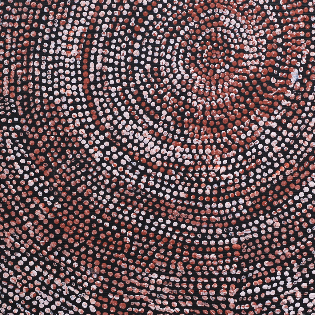 Aboriginal Artwork by Sarah Napurrurla Leo, Ngapa Jukurrpa (Water Dreaming), 30x30cm