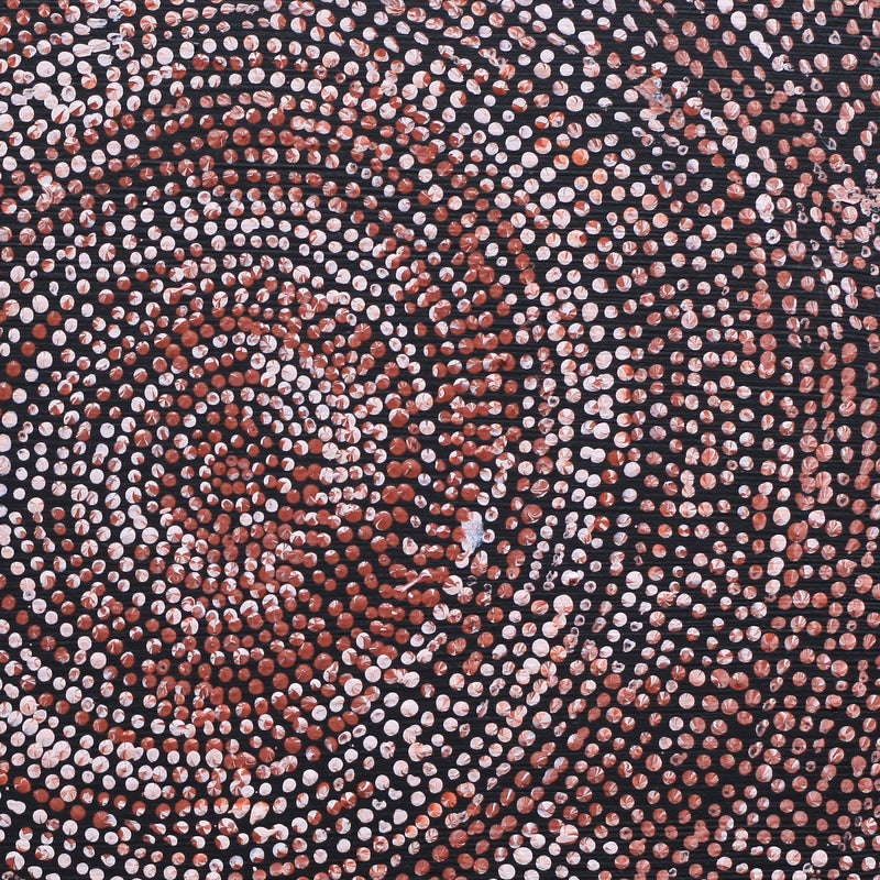 Aboriginal Artwork by Sarah Napurrurla Leo, Ngapa Jukurrpa (Water Dreaming), 30x30cm