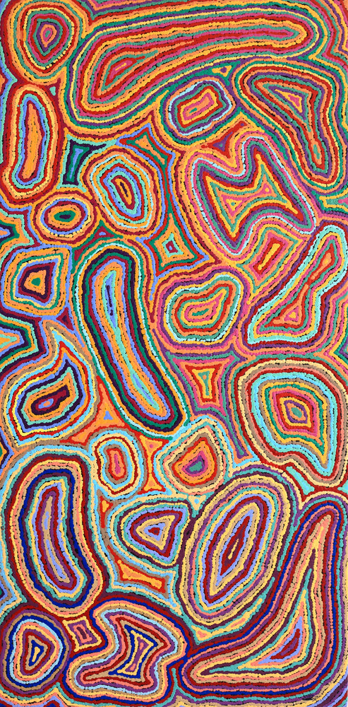 Aboriginal Artwork by Sarah Napaljarri Simms, Pikilyi Jukurrpa (Vaughan Springs Dreaming), 122x61cm