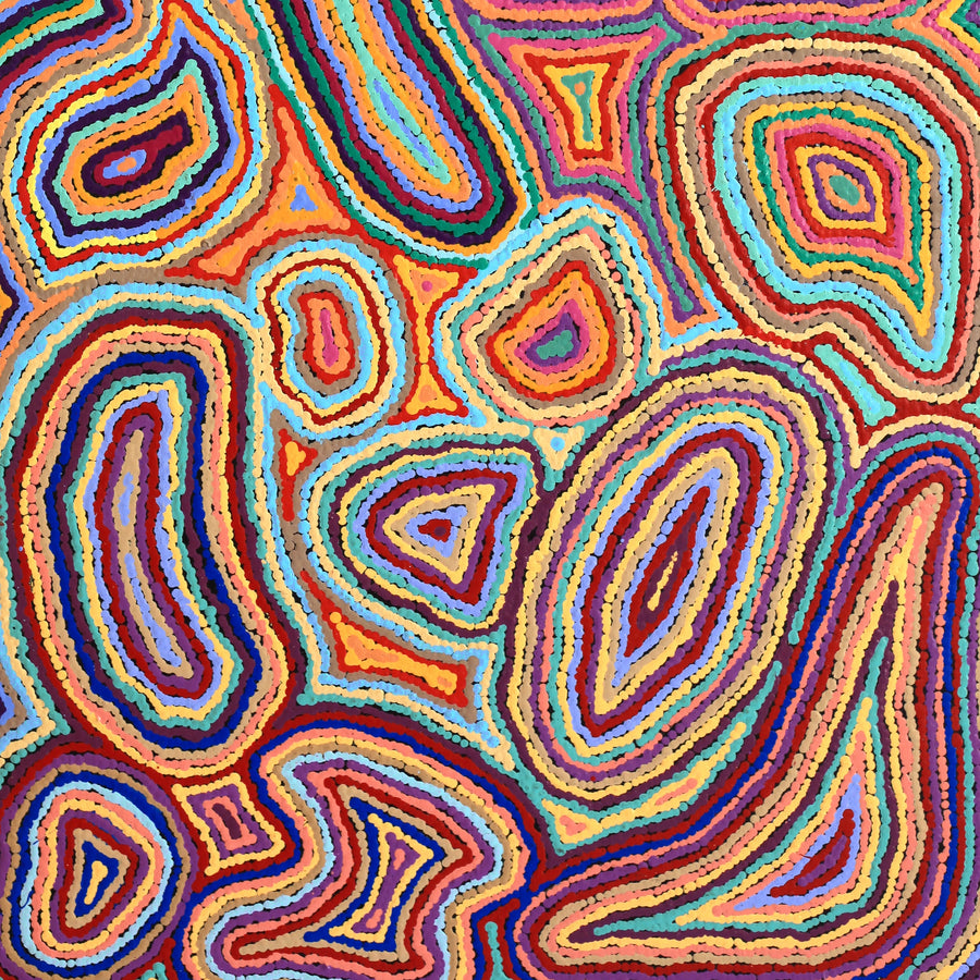 Aboriginal Artwork by Sarah Napaljarri Simms, Pikilyi Jukurrpa (Vaughan Springs Dreaming), 122x61cm