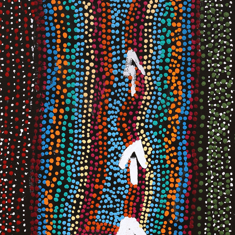 Aboriginal Artwork by Sheree Napurrurla Wayne, Lukarrara Jukurrpa (Desert Fringe-rush Seed Dreaming), 91x30cm