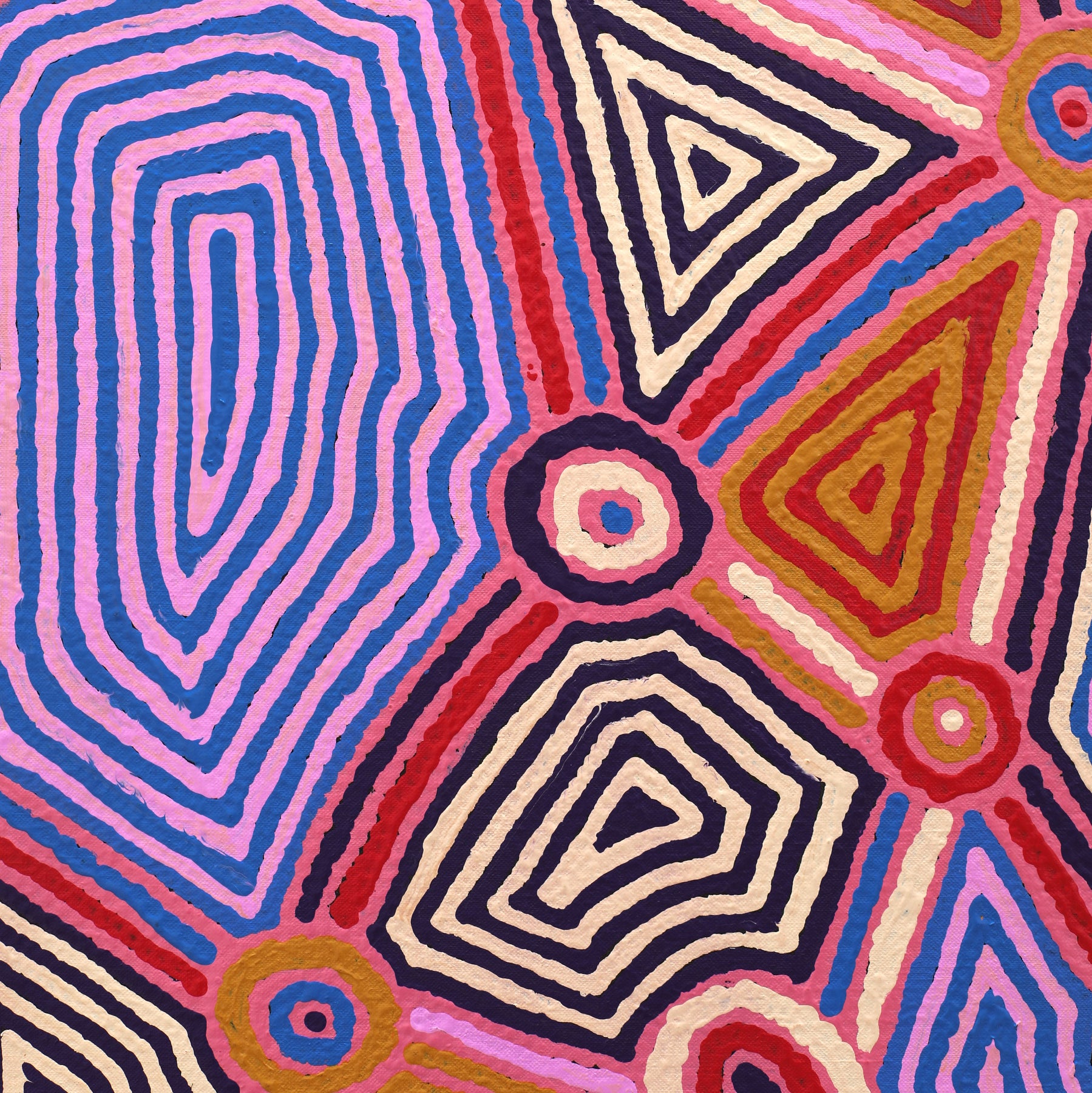 2867/20ny Painting Nyirripi Yankirri Jukurrpa (Emu Dreaming) 46x46cm Sabrina Nungarrayi Gibson - Warlukulangu Artists main image 0