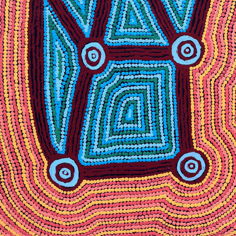 Aboriginal Artwork by Sabrina Nungarrayi Gibson, Yankirri Jukurrpa (Emu Dreaming) - Ngarlikurlangu, 76x46cm
