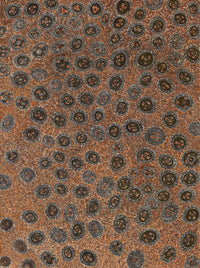 Aboriginal Artwork by Sabrina Nangala Robertson, Ngapa Jukurrpa (Water Dreaming) - Pirlinyarnu, 203x152cm