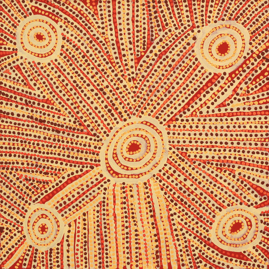Aboriginal Artwork by Sam Tjapanangka George, Kalaya Tjukurrpa, 50x50cm