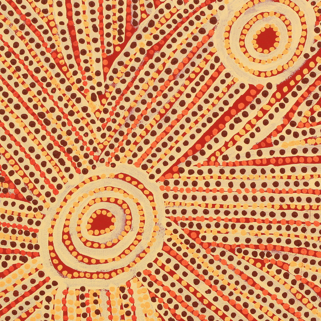 Aboriginal Artwork by Sam Tjapanangka George, Kalaya Tjukurrpa, 50x50cm