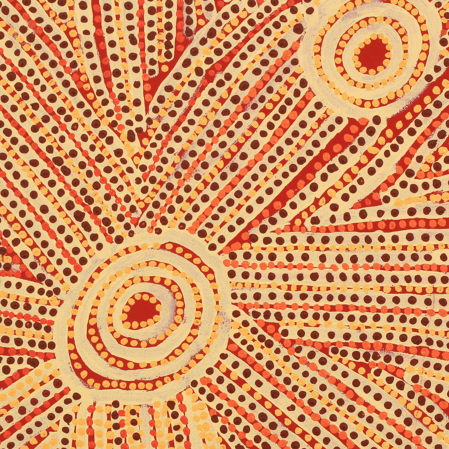Aboriginal Artwork by Sam Tjapanangka George, Kalaya Tjukurrpa, 50x50cm