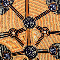 Aboriginal Artwork by Sam Tjapanangka George, Kalaya Tjukurrpa, 101x61