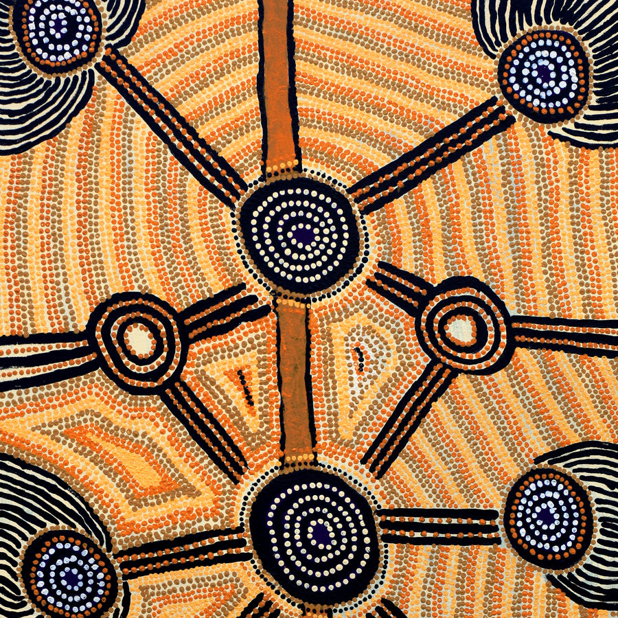 Aboriginal Artwork by Sam Tjapanangka George, Kalaya Tjukurrpa, 101x61
