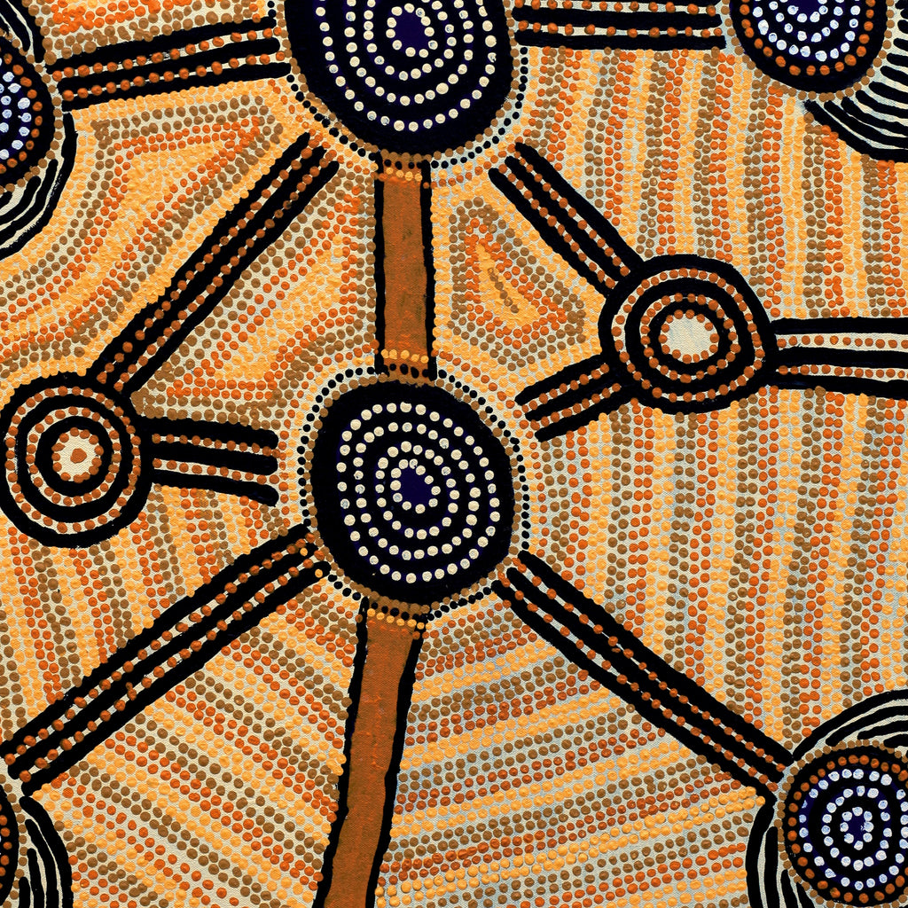 Aboriginal Artwork by Sam Tjapanangka George, Kalaya Tjukurrpa, 101x61